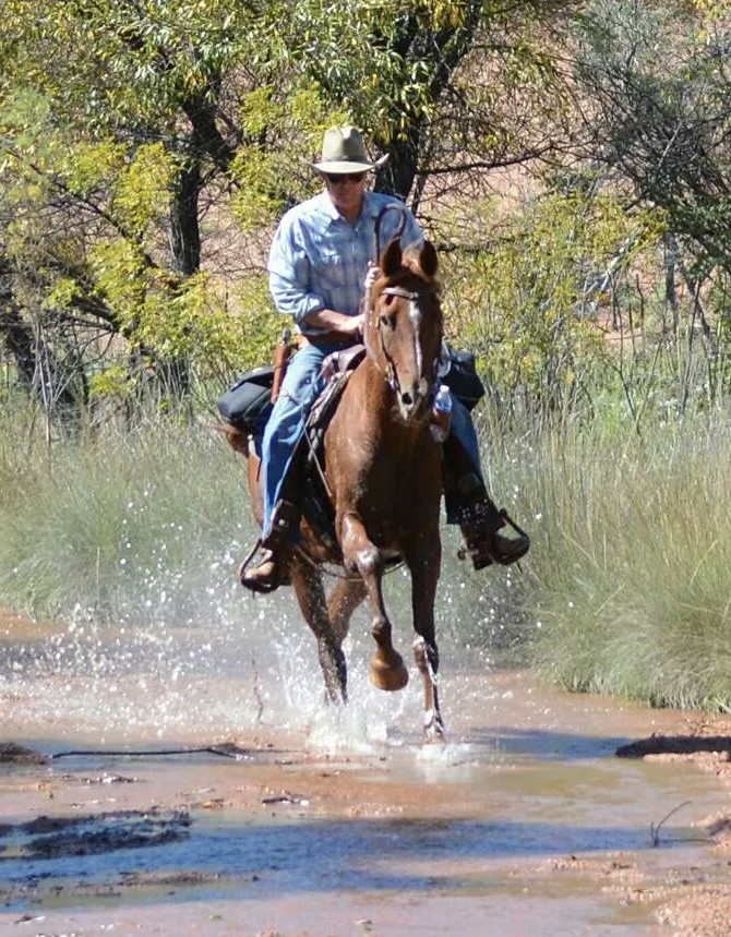 Apache Junction Horse Rescue